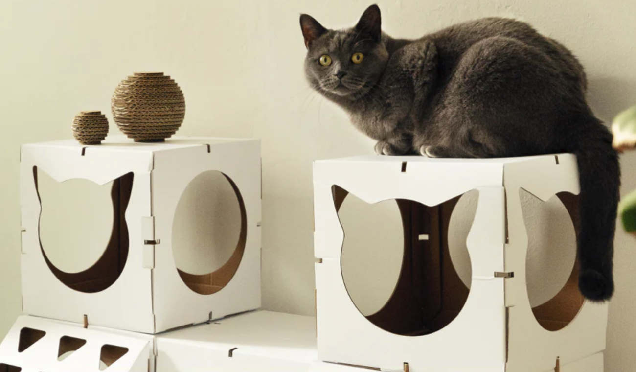 Haustier-Zubehör im Alltag – dopetme.com